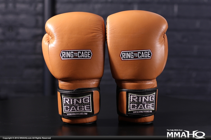 New! RING TO CAGE Elite MiM Foam Training Gloves